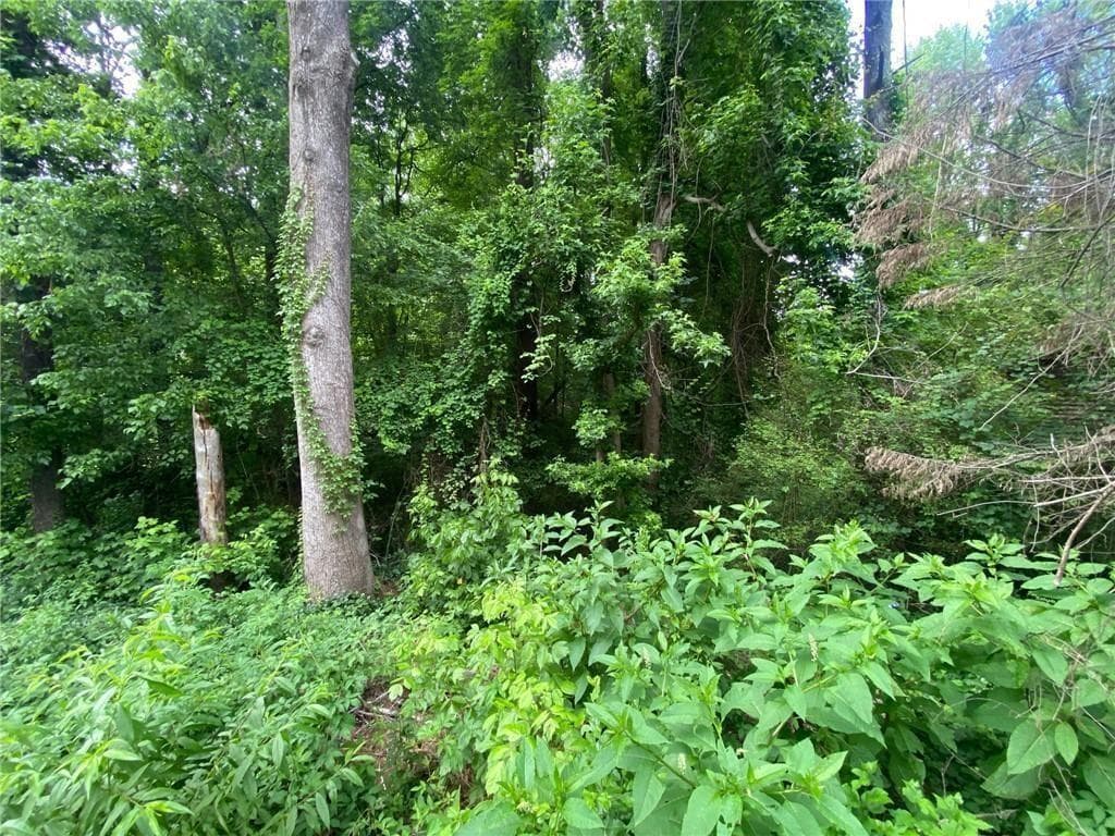 single family residence for sale at 00 Nickajack Road, Mableton, GA 30126 — photo 3