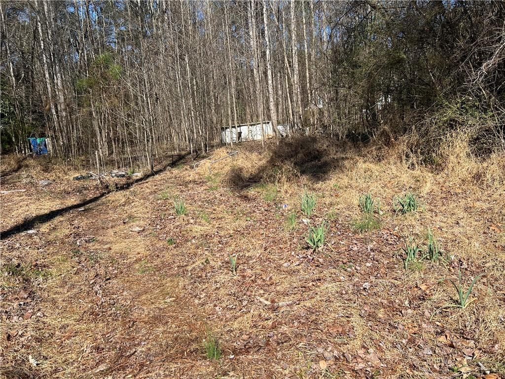 other for sale at 4175 Campbell Road, Snellville, GA 30039 — photo 9