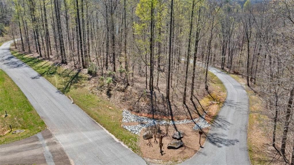 unimproved land for sale at 253 N Laceola Road, Cleveland, GA 30528 — photo 1 of 21