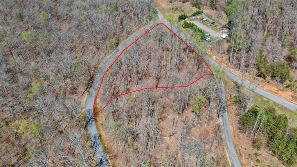 unimproved land for sale at 253 N Laceola Road, Cleveland, GA 30528 — photo 3