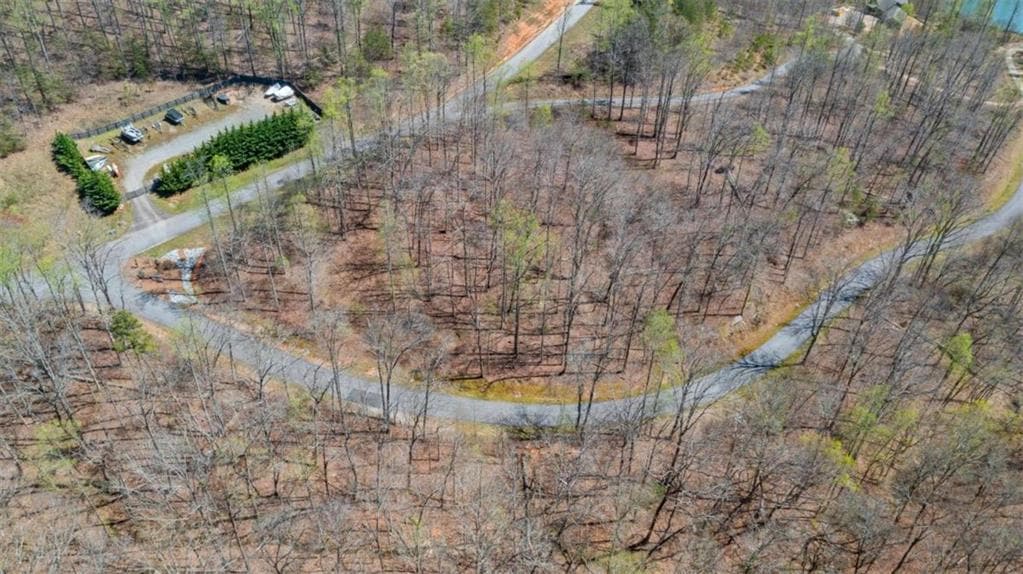 unimproved land for sale at 253 N Laceola Road, Cleveland, GA 30528 — photo 6