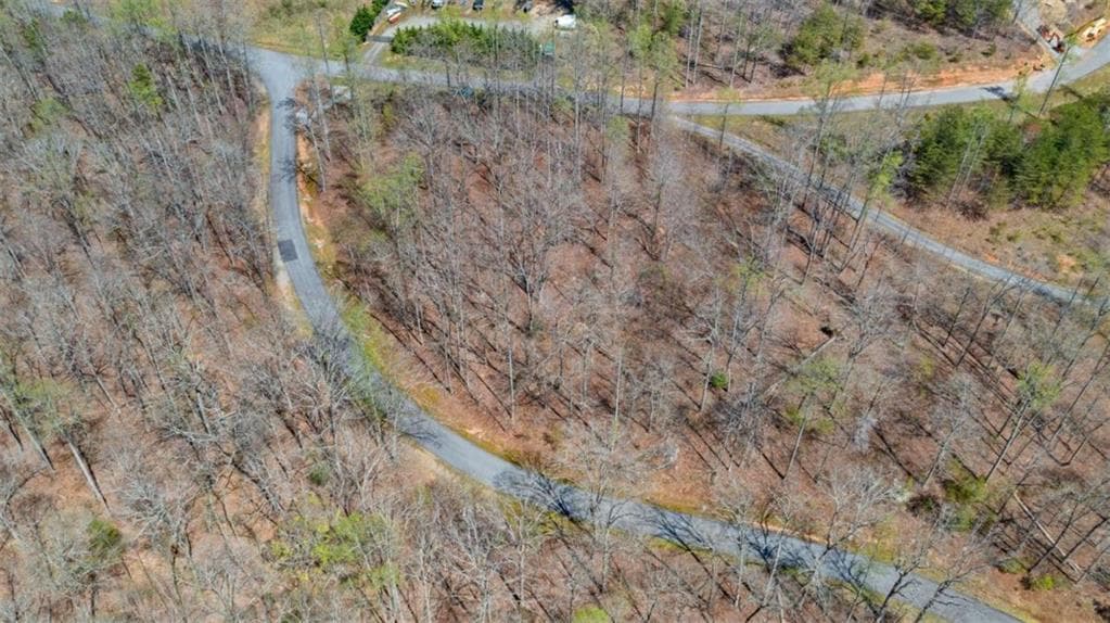unimproved land for sale at 253 N Laceola Road, Cleveland, GA 30528 — photo 7