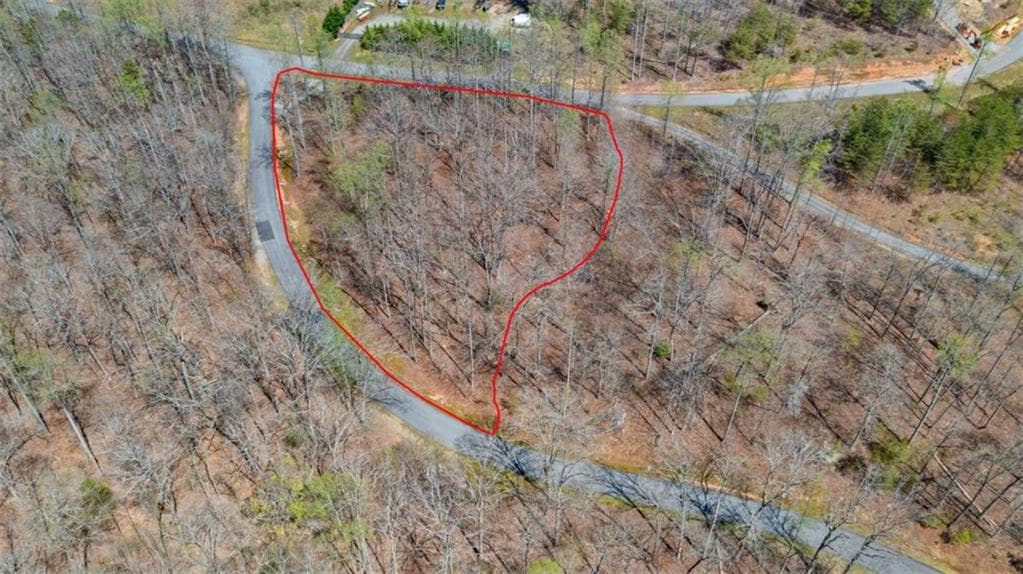 unimproved land for sale at 253 N Laceola Road, Cleveland, GA 30528 — photo 8