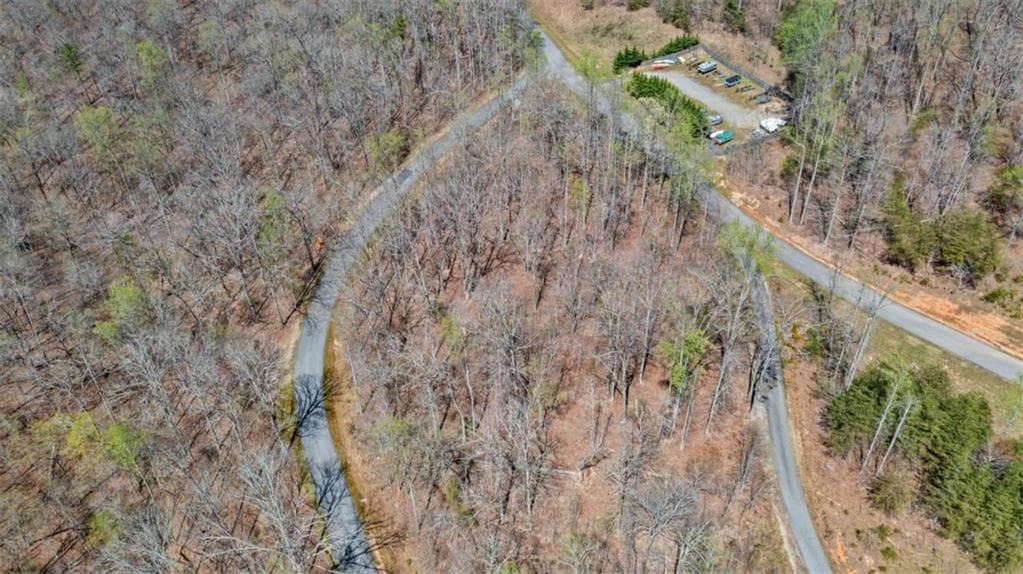 unimproved land for sale at 253 N Laceola Road, Cleveland, GA 30528 — photo 9
