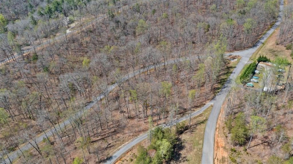 unimproved land for sale at 253 N Laceola Road, Cleveland, GA 30528 — photo 10