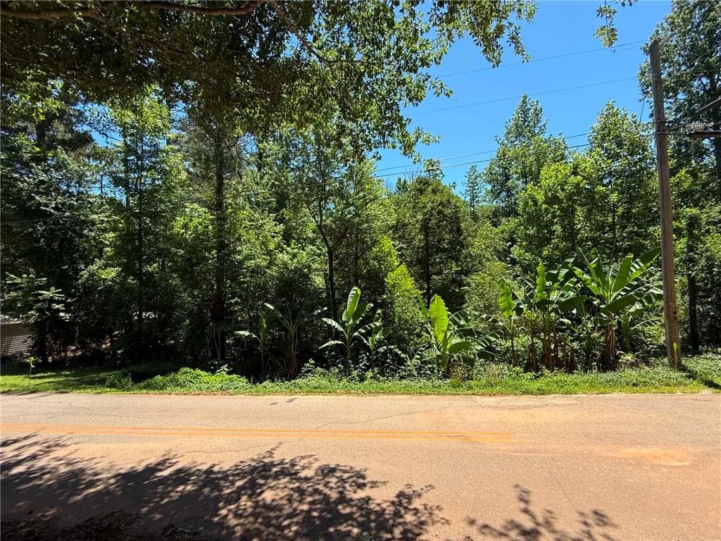 unimproved land for sale at 0 Lakeshore Road, Martin, GA 30557 — photo 1 of 11