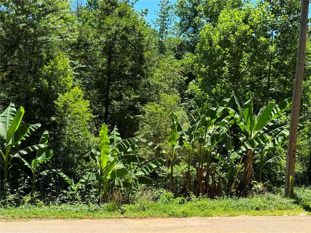 unimproved land for sale at 0 Lakeshore Road, Martin, GA 30557 — photo 2