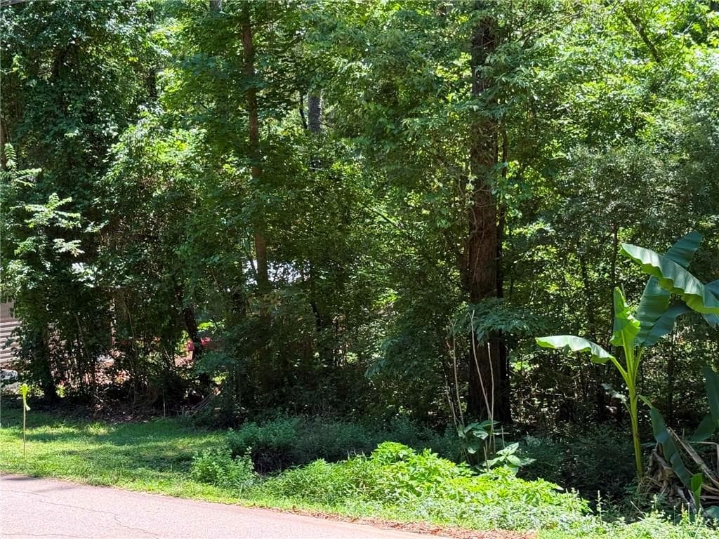 unimproved land for sale at 0 Lakeshore Road, Martin, GA 30557 — photo 3