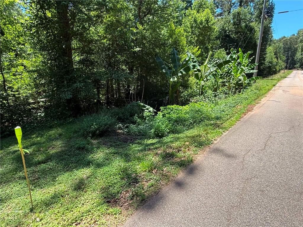 unimproved land for sale at 0 Lakeshore Road, Martin, GA 30557 — photo 4