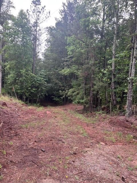 unimproved land for sale at 0 Dobbs Mountain Road, Winston, GA 30187 — photo 1 of 1