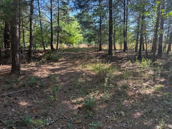 unimproved land for sale at 0 Pinetree Way, Dahlonega, GA 30533 — photo 8