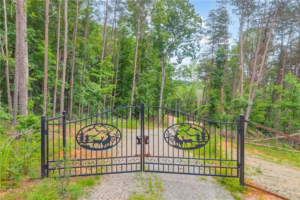 single family residence for sale at 0 Gene Nix Road, Cleveland, GA 30528 — photo 7