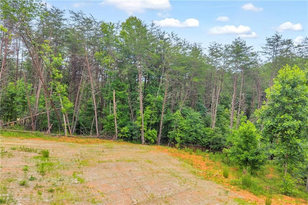 single family residence for sale at 0 Gene Nix Road, Cleveland, GA 30528 — photo 9