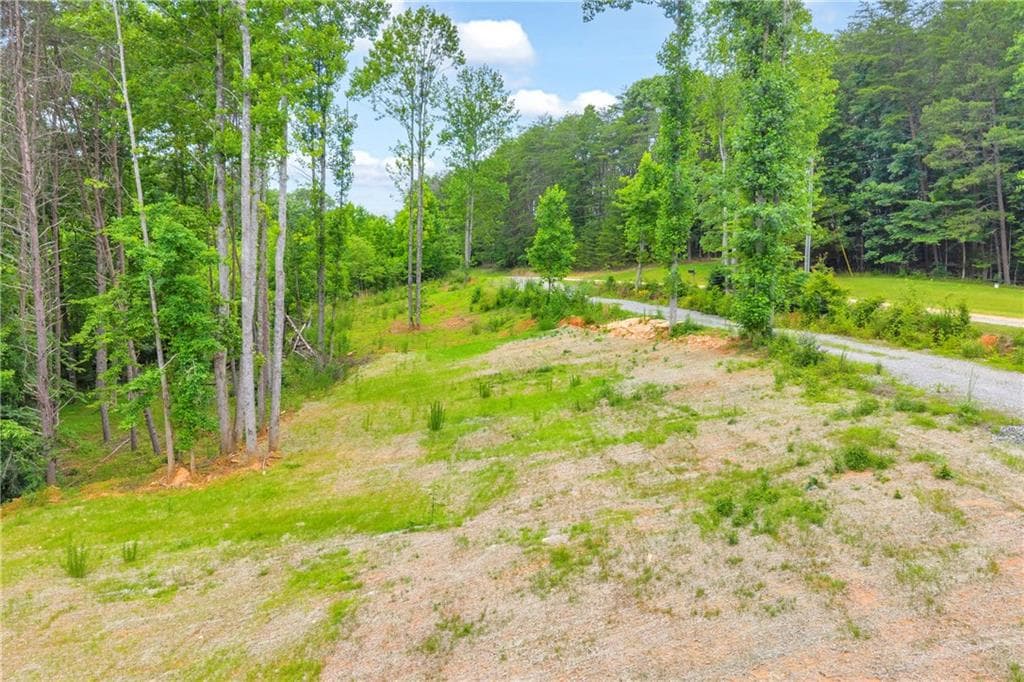 single family residence for sale at 0 Gene Nix Road, Cleveland, GA 30528 — photo 10
