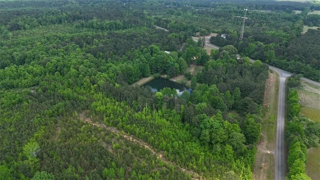 unimproved land for sale at 268 Ogletree Road, Greenville, GA 30222 — photo 4