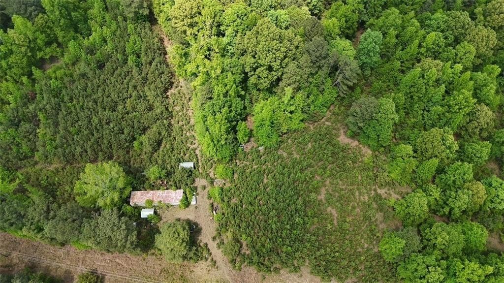 unimproved land for sale at 268 Ogletree Road, Greenville, GA 30222 — photo 5