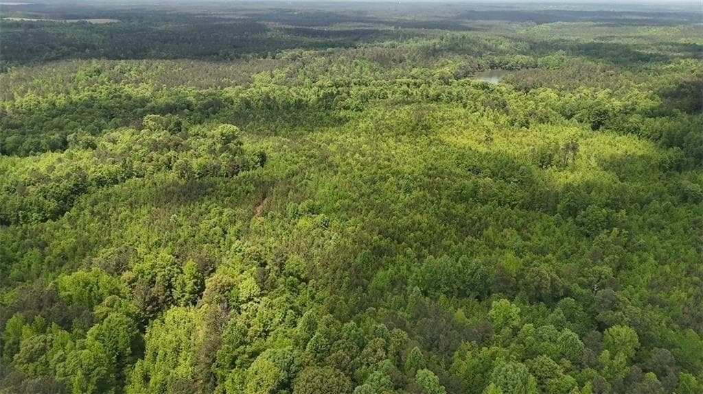 unimproved land for sale at 268 Ogletree Road, Greenville, GA 30222 — photo 6