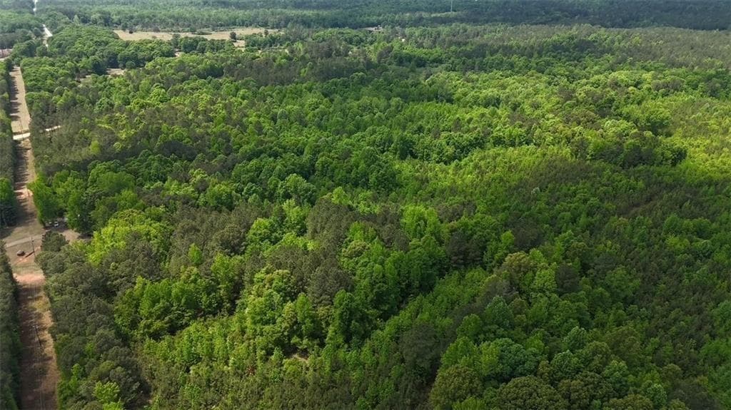 unimproved land for sale at 268 Ogletree Road, Greenville, GA 30222 — photo 7