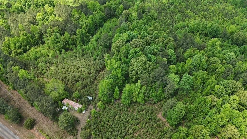 unimproved land for sale at 268 Ogletree Road, Greenville, GA 30222 — photo 8