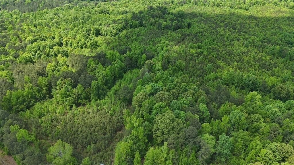 unimproved land for sale at 268 Ogletree Road, Greenville, GA 30222 — photo 9