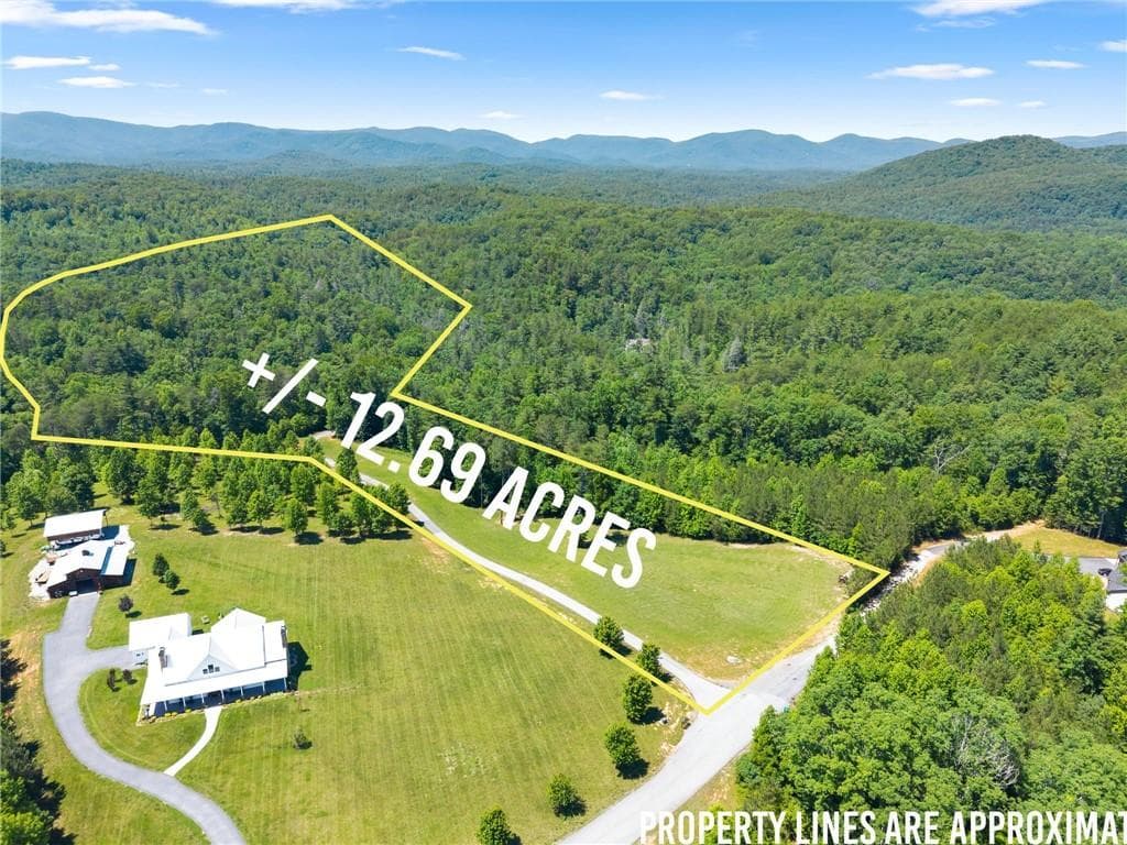 4 bedroom, 5 bathroom, 4,381 sq ft single family residence for sale at 650 Old Steele Hollow, Dahlonega, GA 30533 — photo 4