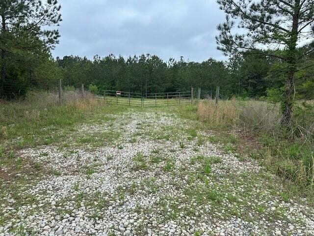 other for sale at 55 Spring Place Road, Cartersville, GA 30121 — photo 3