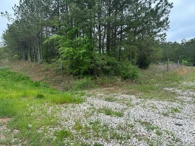 other for sale at 55 Spring Place Road, Cartersville, GA 30121 — photo 10