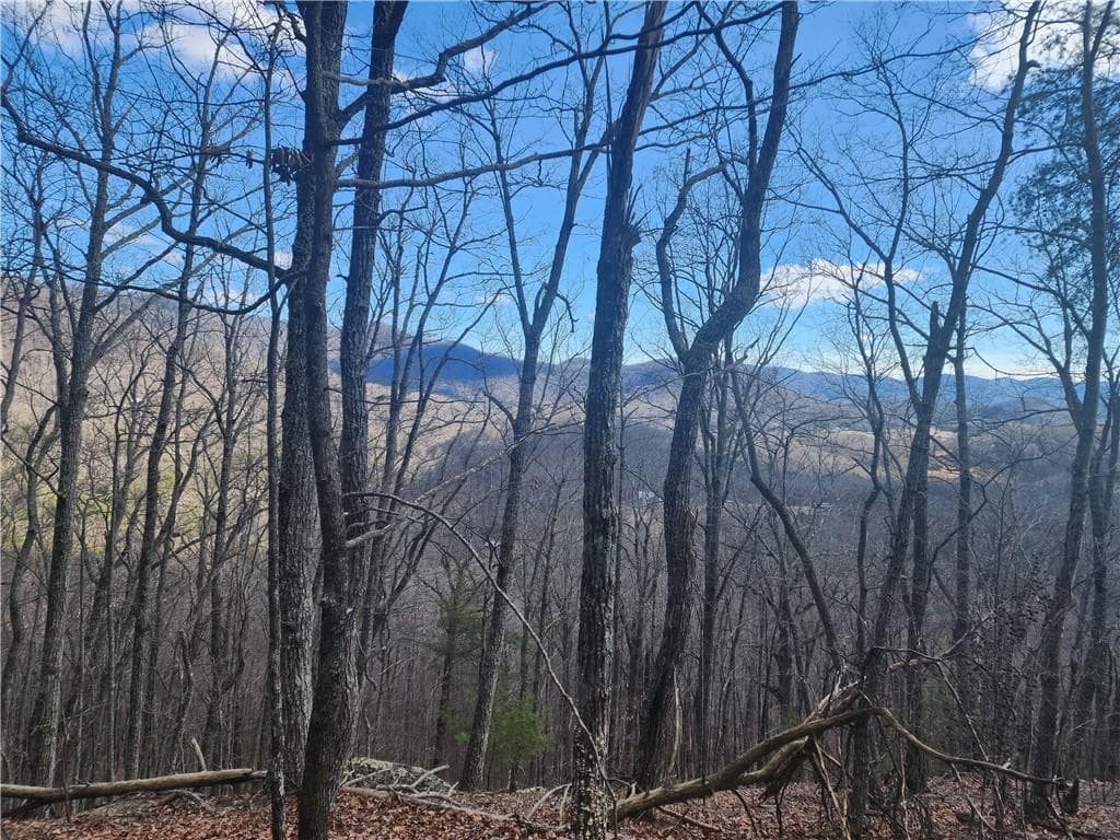 unimproved land for sale at 0 Trackrock Gap Road, Blairsville, GA 30514 — photo 2