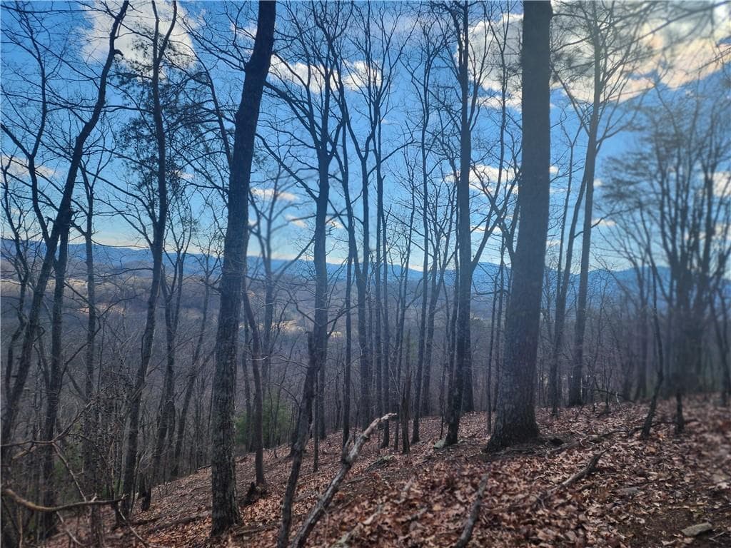unimproved land for sale at 0 Trackrock Gap Road, Blairsville, GA 30514 — photo 3