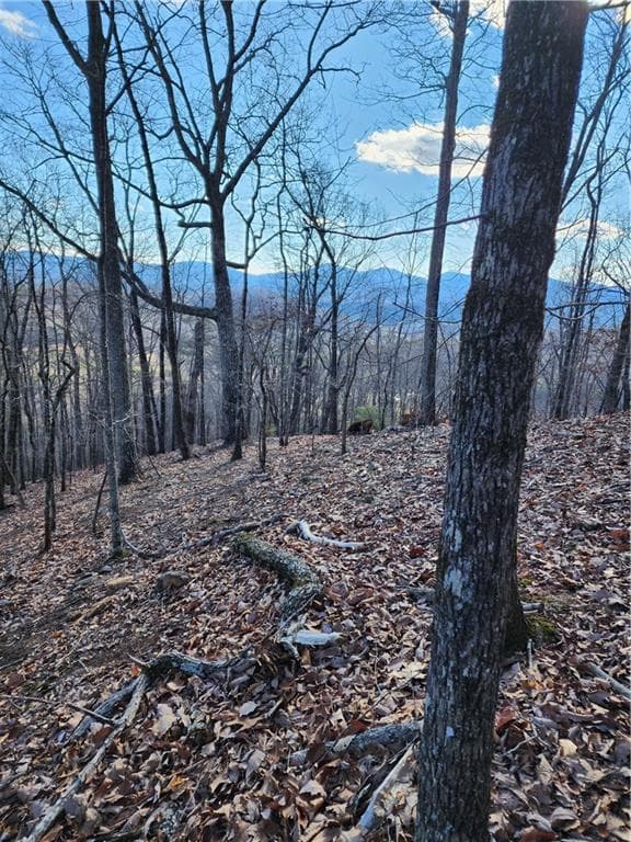 unimproved land for sale at 0 Trackrock Gap Road, Blairsville, GA 30514 — photo 4