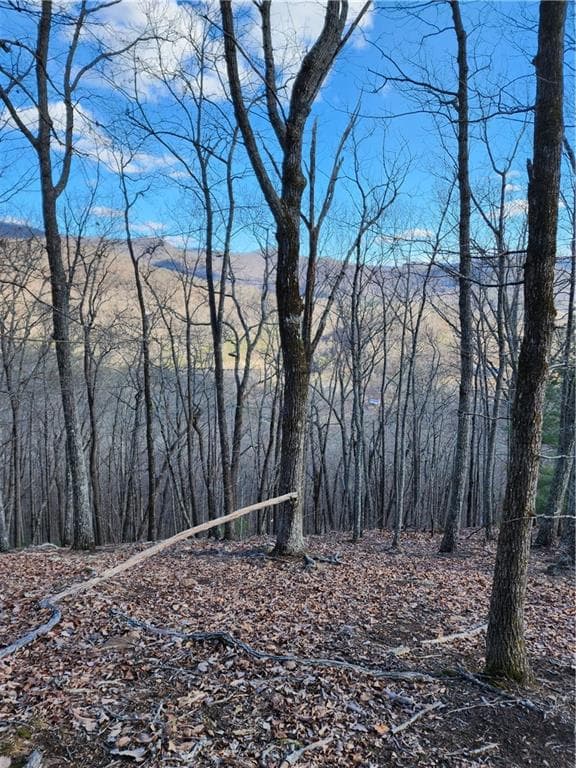 unimproved land for sale at 0 Trackrock Gap Road, Blairsville, GA 30514 — photo 6