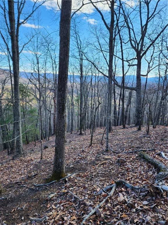 unimproved land for sale at 0 Trackrock Gap Road, Blairsville, GA 30514 — photo 7