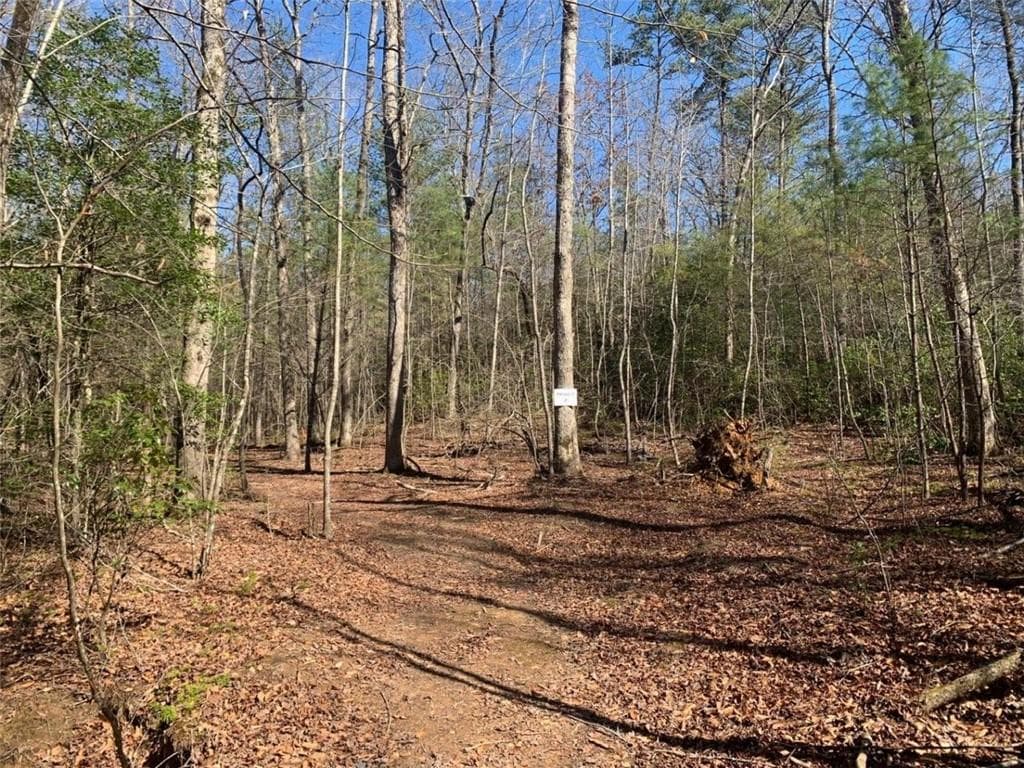 unimproved land for sale at 0 East New Hope Road, Ellijay, GA 30536 — photo 1 of 22