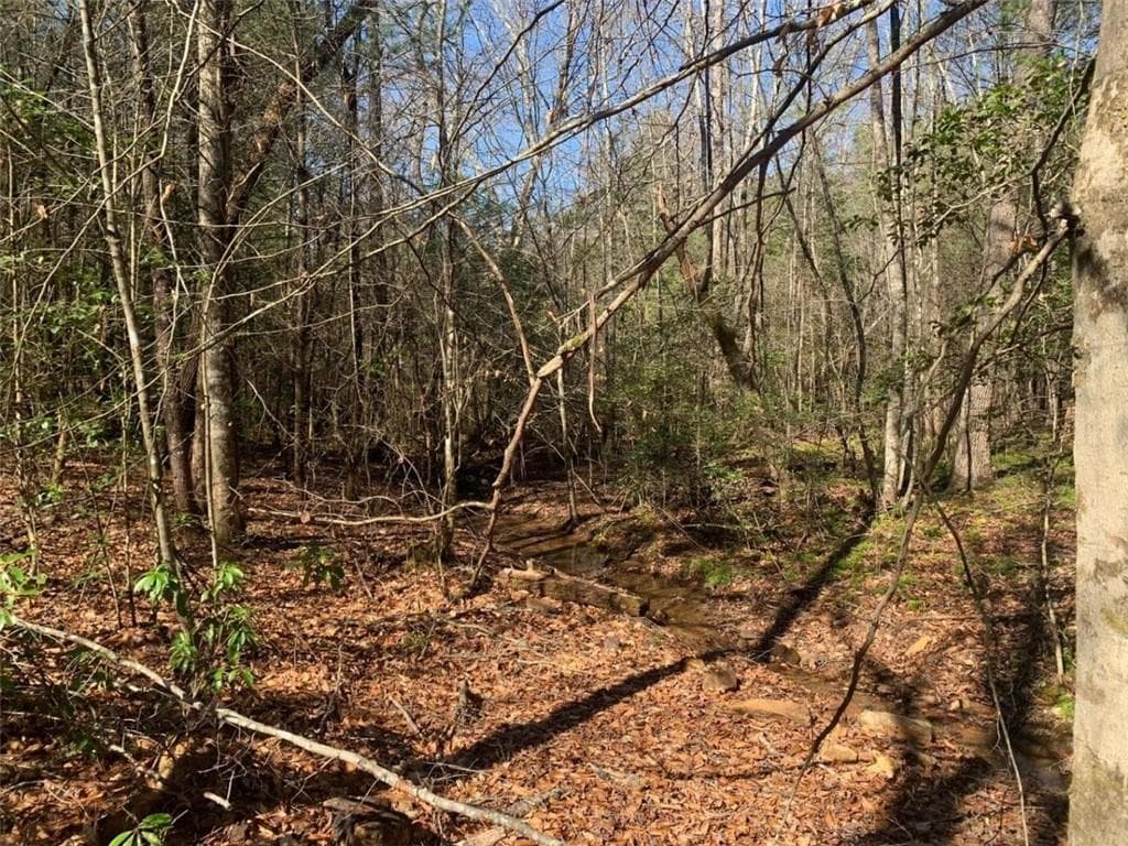 unimproved land for sale at 0 East New Hope Road, Ellijay, GA 30536 — photo 2
