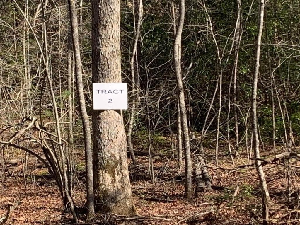 unimproved land for sale at 0 East New Hope Road, Ellijay, GA 30536 — photo 4