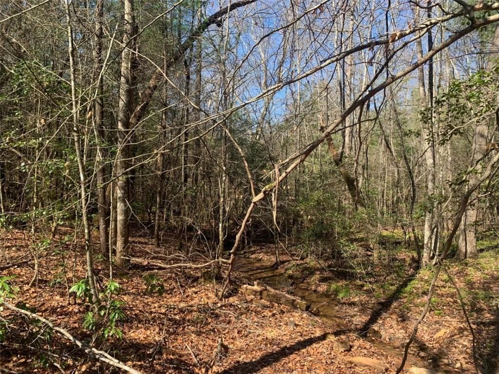 unimproved land for sale at 0 East New Hope Road, Ellijay, GA 30536 — photo 5