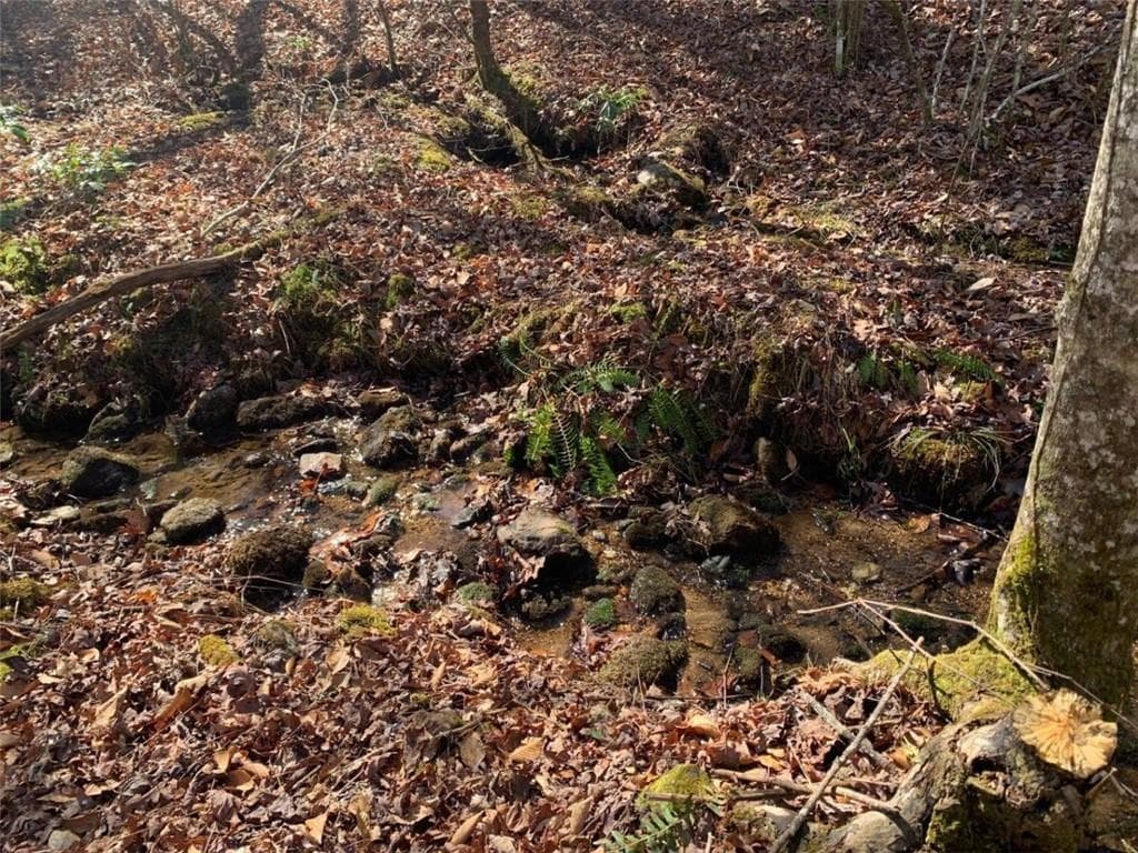 unimproved land for sale at 0 East New Hope Road, Ellijay, GA 30536 — photo 6