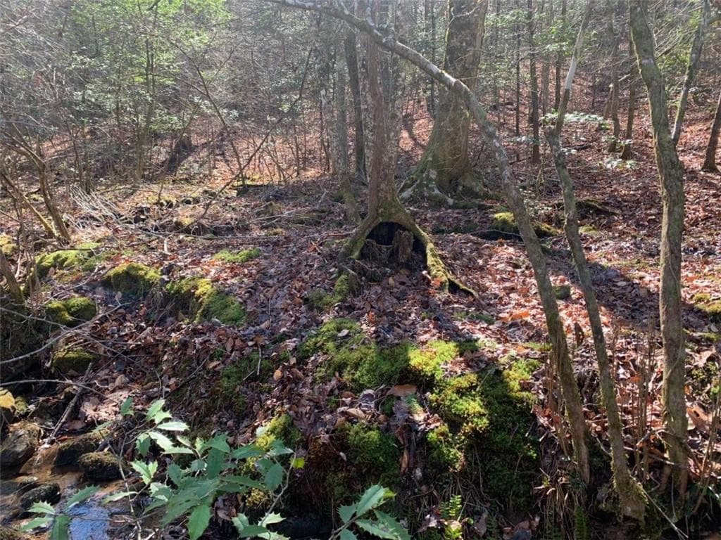 unimproved land for sale at 0 East New Hope Road, Ellijay, GA 30536 — photo 7