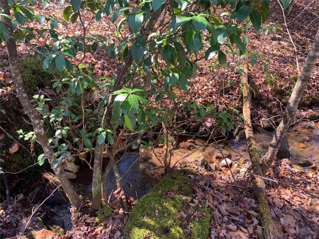 unimproved land for sale at 0 East New Hope Road, Ellijay, GA 30536 — photo 9