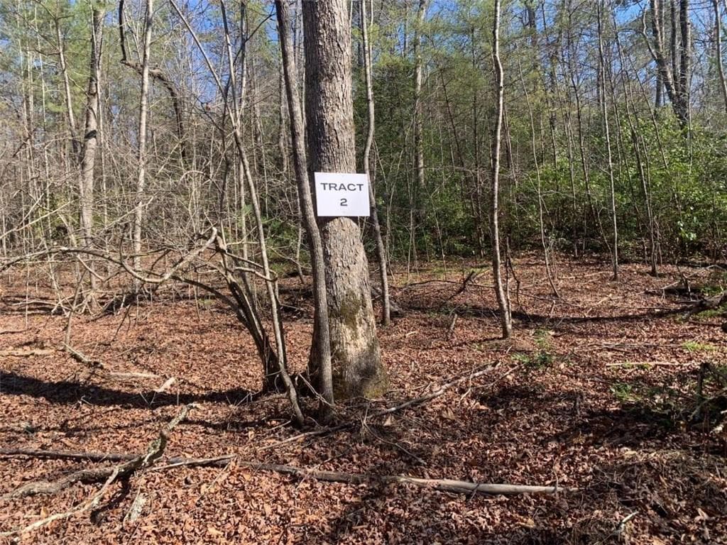unimproved land for sale at 0 East New Hope Road, Ellijay, GA 30536 — photo 10