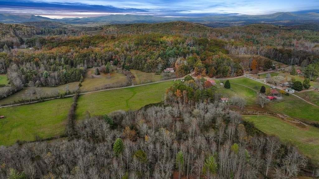 unimproved land for sale at 14.36 Night Lane, Epworth, GA 30541 — photo 3