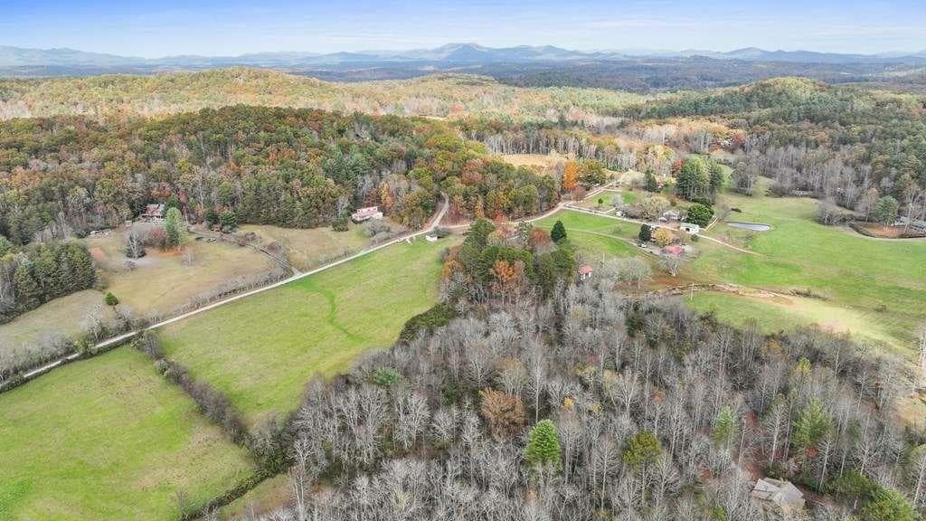 unimproved land for sale at 14.36 Night Lane, Epworth, GA 30541 — photo 6