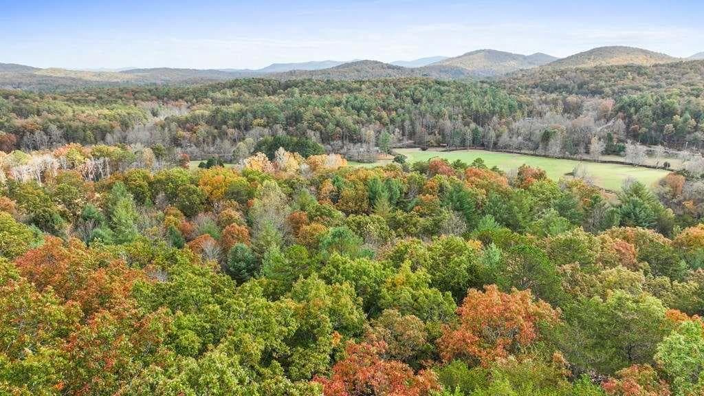 unimproved land for sale at 14.36 Night Lane, Epworth, GA 30541 — photo 9