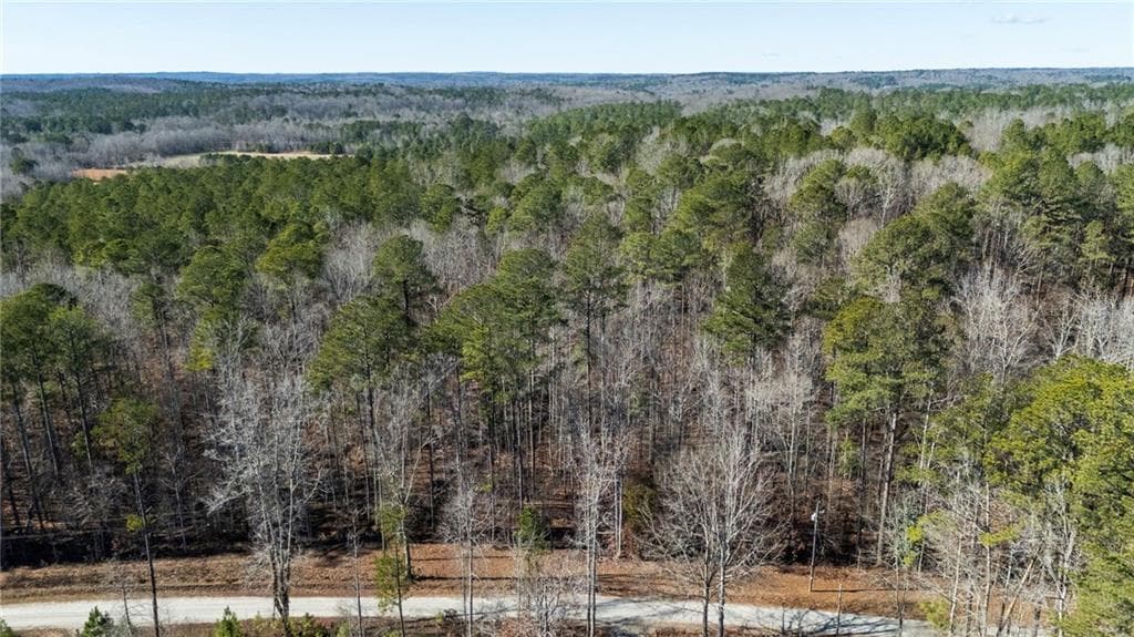 other for sale at 0 Pace Road, Chattahoochee Hills, GA 30213 — photo 2