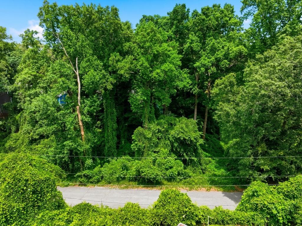 unimproved land for sale at 0 Spring Lane, Atlanta, GA 30314 — photo 4