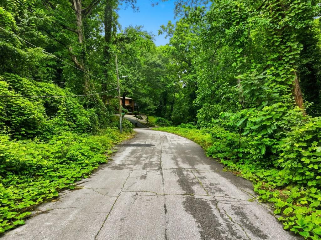 unimproved land for sale at 0 Spring Lane, Atlanta, GA 30314 — photo 6