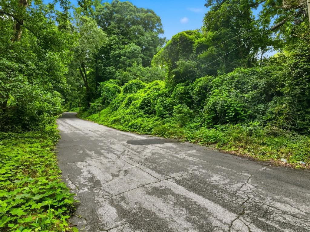 unimproved land for sale at 0 Spring Lane, Atlanta, GA 30314 — photo 7