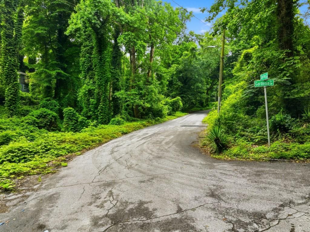 unimproved land for sale at 0 Spring Lane, Atlanta, GA 30314 — photo 8