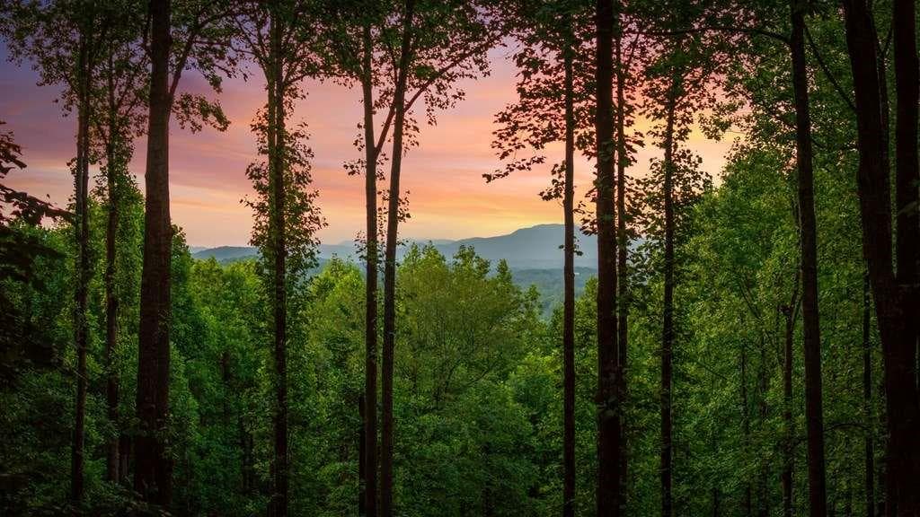4 bedroom, 4 bathroom, 2,500 sq ft single family residence for sale at 391 Little Bushy Head Road, Blue Ridge, GA 30513 — photo 2