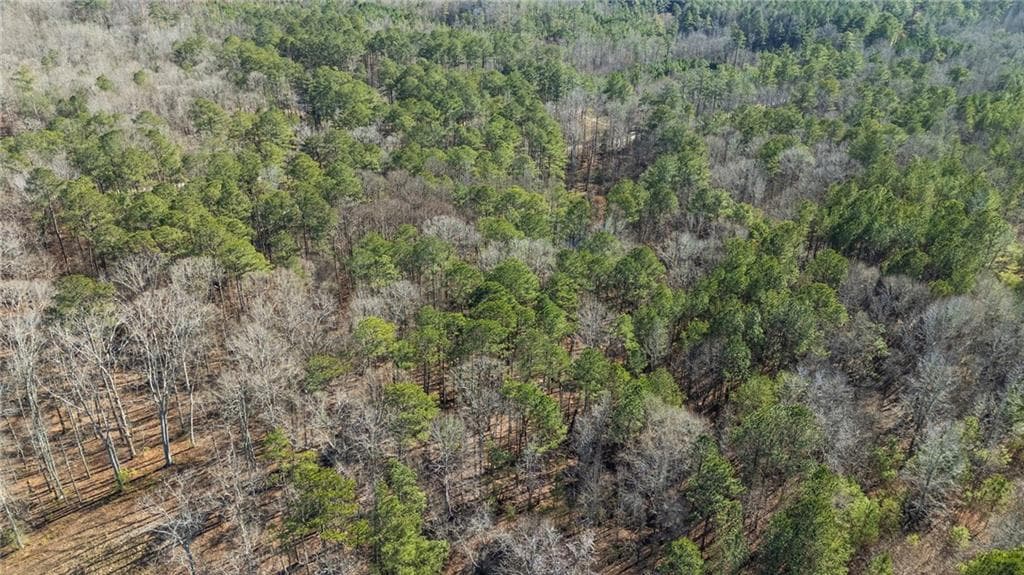 other for sale at 0 Pace Road, Chattahoochee Hills, GA 30213 — photo 4